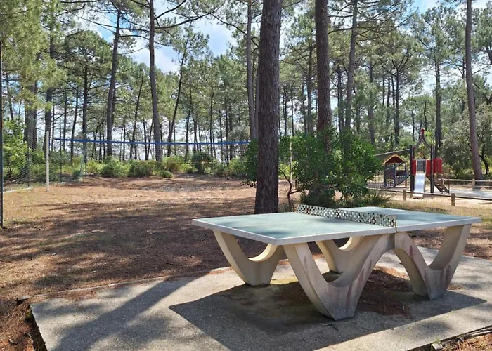 Apartamento Cosy Refait A Neuf, Linge Fourni Carcans